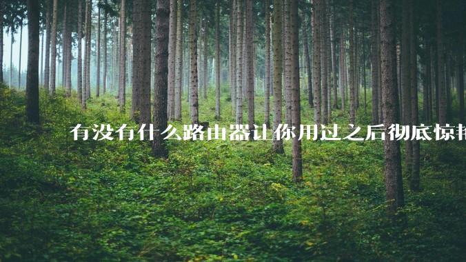 有没有什么路由器让你用过之后彻底惊艳了？