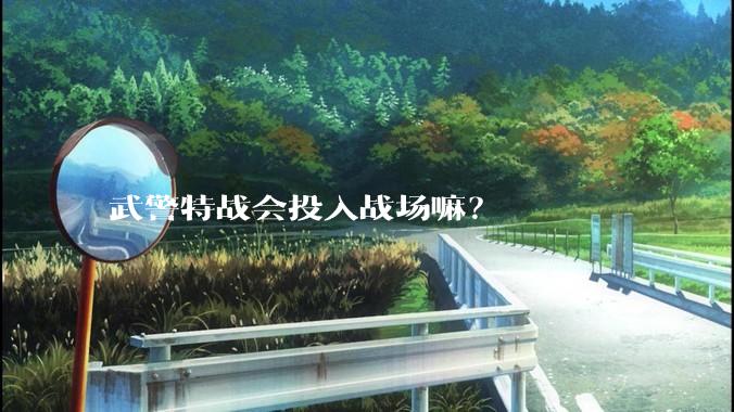 武警特战会投入战场嘛？