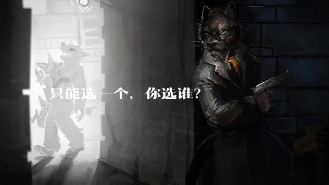 只能选一个，你选谁？