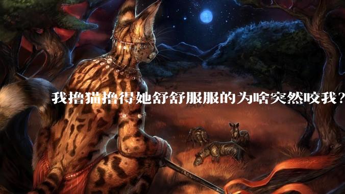 我撸猫撸得她舒舒服服的为啥突然咬我？