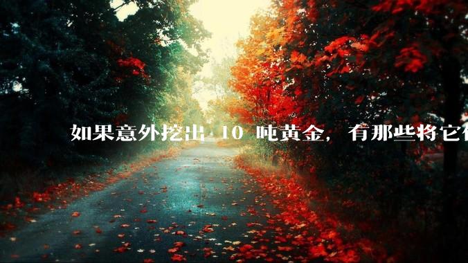 如果意外挖出 10 吨黄金，有那些将它们洗白、正常使用的方法？