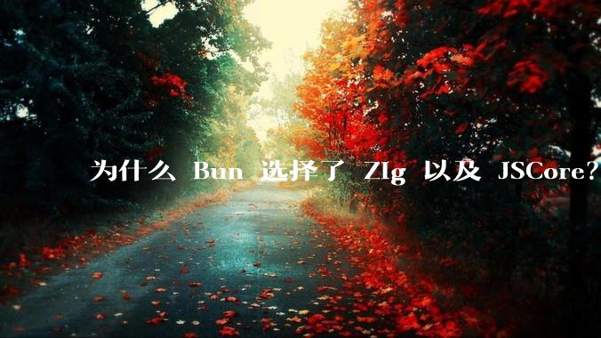 为什么 Bun 选择了 Zig 以及 JSCore？