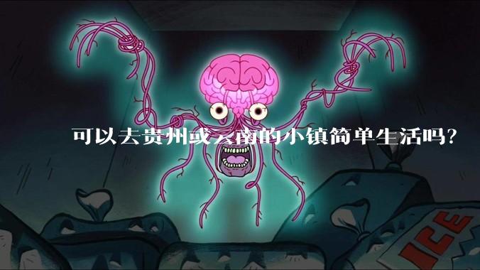 可以去贵州或云南的小镇简单生活吗？