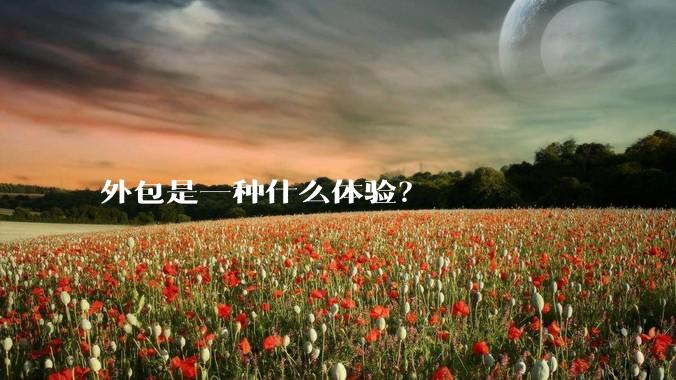 外包是一种什么体验？