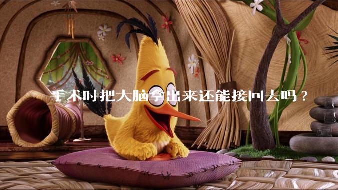 手术时把大脑拿出来还能接回去吗?