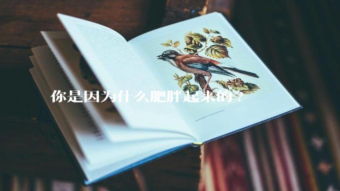 你是因为什么肥胖起来的?