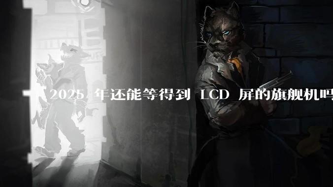 2025 年还能等得到 LCD 屏的旗舰机吗？
