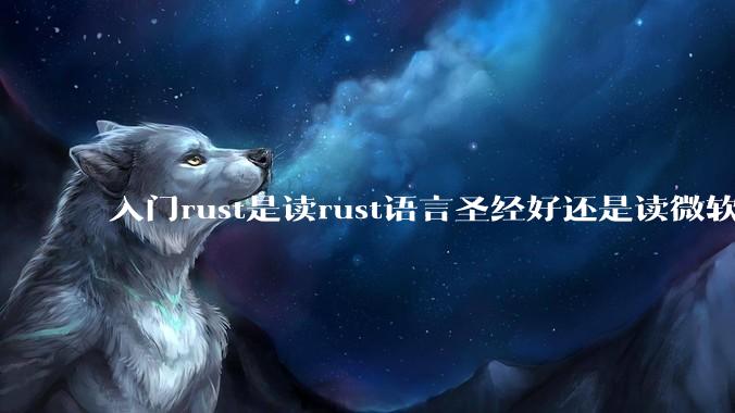 入门rust是读rust语言圣经好还是读微软的教程好？