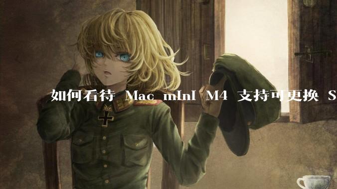如何看待 Mac mini M4 支持可更换 SSD？