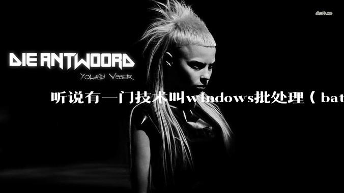 听说有一门技术叫windows批处理（bat），请问它有什么现实用途？