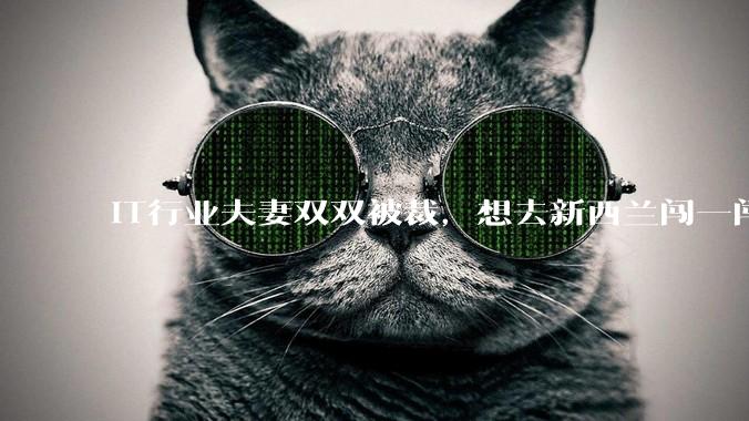 IT行业夫妻双双被裁，想去新西兰闯一闯可以吗？