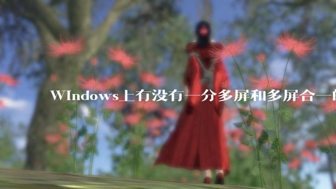 Windows上有没有一分多屏和多屏合一的软件？