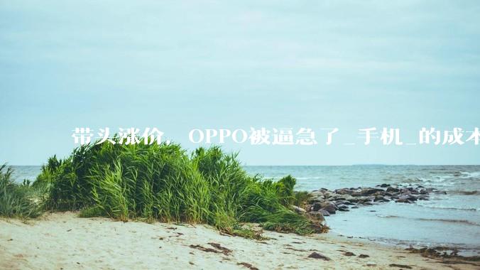带头涨价，OPPO被逼急了_手机_的成本_Reno