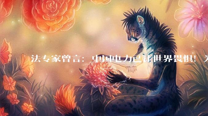 法专家曾言：中国电力已让世界畏惧！为何中国人自己却浑然不知？_能源_美国_全球