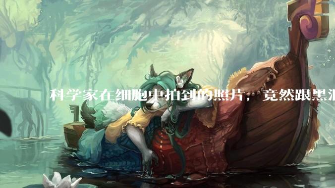 科学家在细胞中拍到的照片，竟然跟黑洞极为相似_核仁_加工_结构
