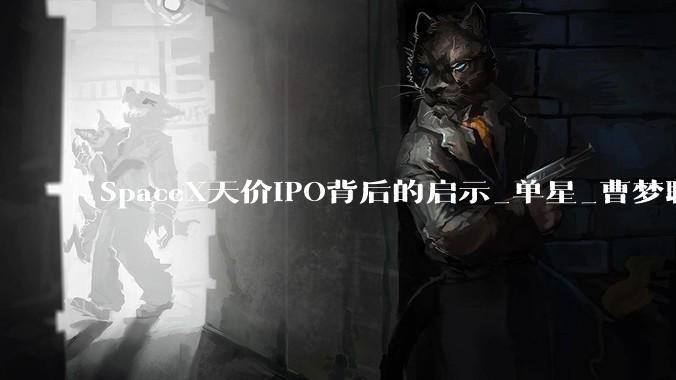 SpaceX天价IPO背后的启示_单星_曹梦聊_通信