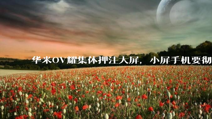 华米OV耀集体押注大屏，小屏手机要彻底凉了？_屏幕_vivo_直板机