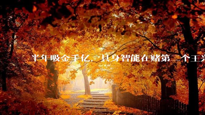 半年吸金千亿，具身智能在赌第二个王兴兴_机器人_行业_彭志辉