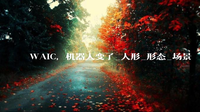 WAIC，机器人变了_人形_形态_场景