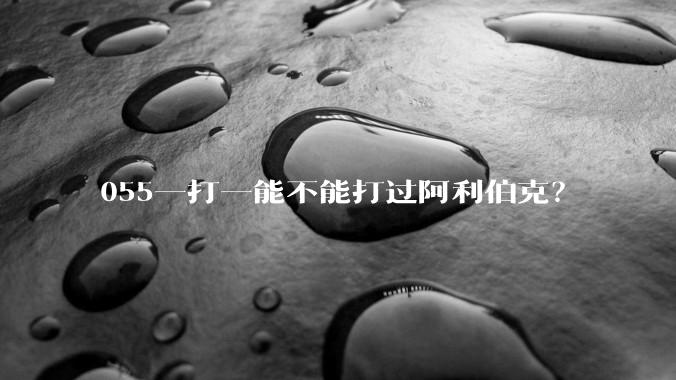 055一打一能不能打过阿利伯克？