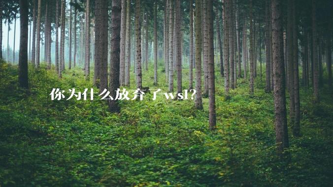 你为什么放弃了wsl？