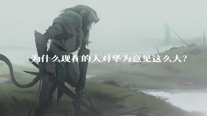 为什么现在的人对华为意见这么大？