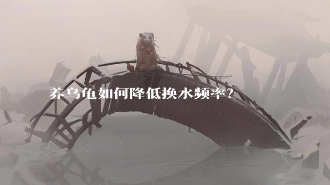 养乌龟如何降低换水频率？
