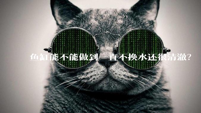鱼缸能不能做到一直不换水还很清澈？