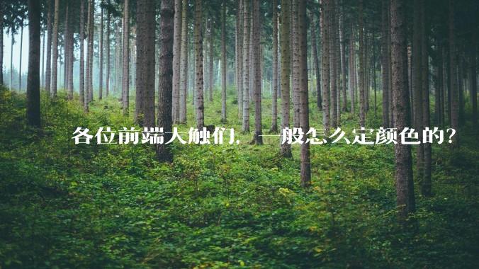 各位前端大触们，一般怎么定颜色的？