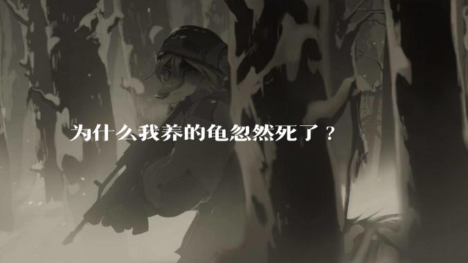为什么我养的龟忽然死了?