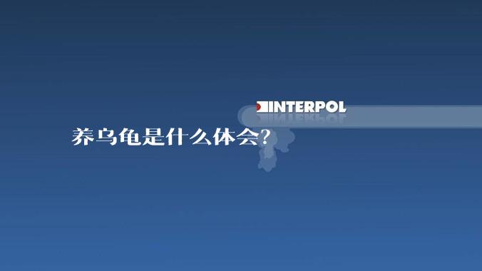 养乌龟是什么体会？