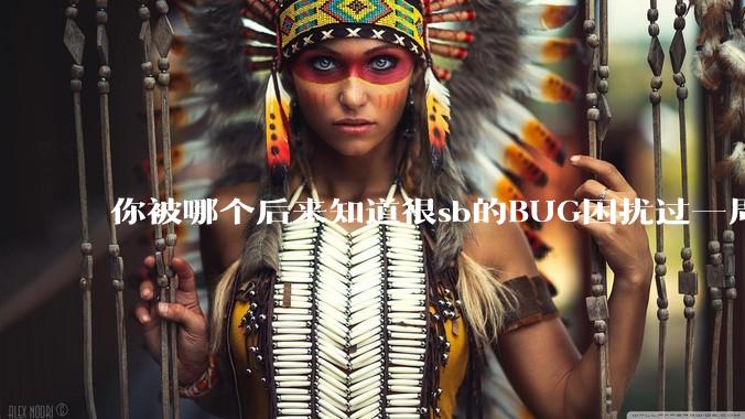 你被哪个后来知道很sb的BUG困扰过一周以上吗？