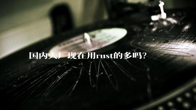 国内大厂现在用rust的多吗？