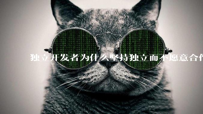 独立开发者为什么坚持独立而不愿意合作？