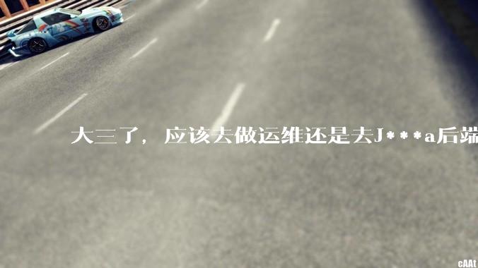 大三了，应该去做运维还是去J***a后端呢？