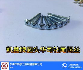 树脂瓦专用螺丝 梅州螺丝 凯宇五金诚信推荐